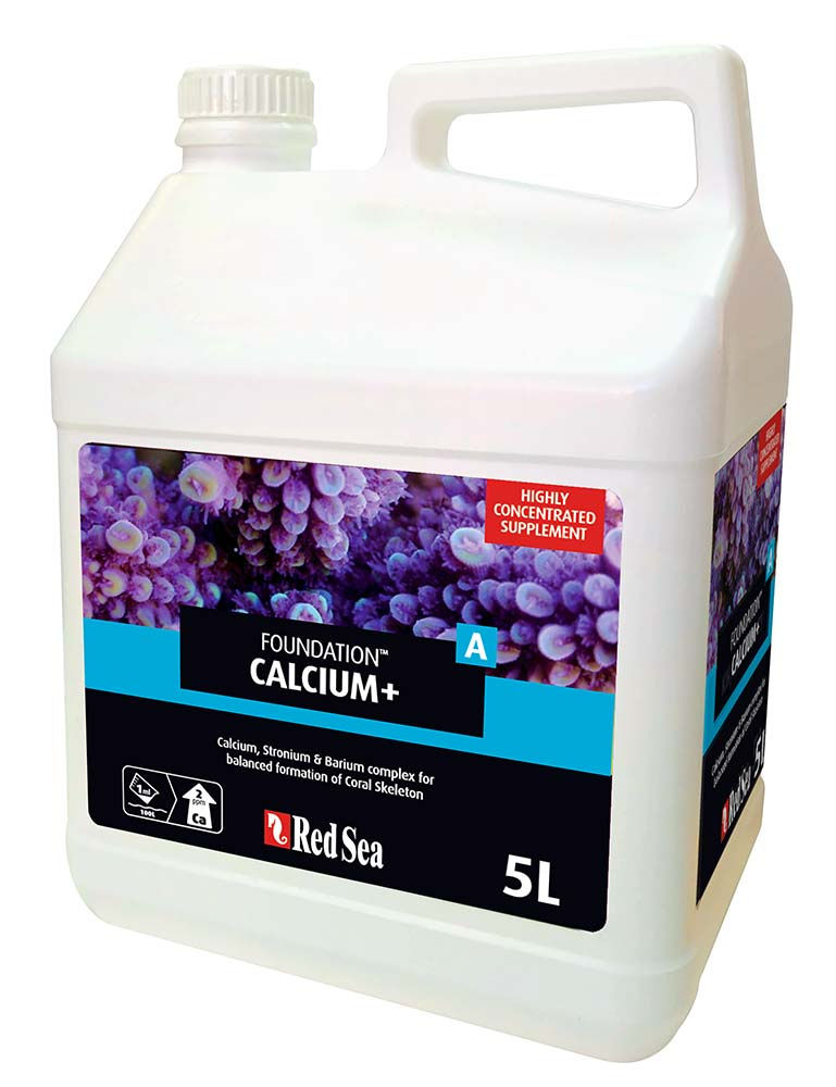 Thumbnail: Foundation A: Calcium+