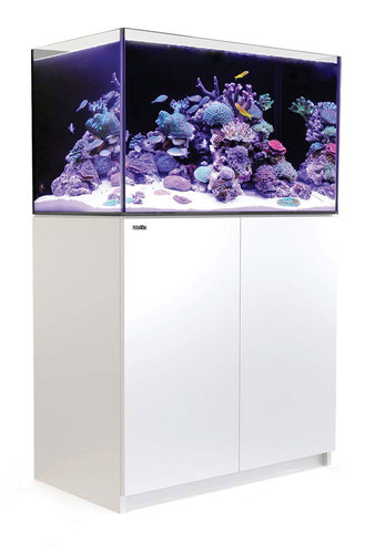 RedSea　Reefer250　V3 Reefer 250 V3 | Coral Reef