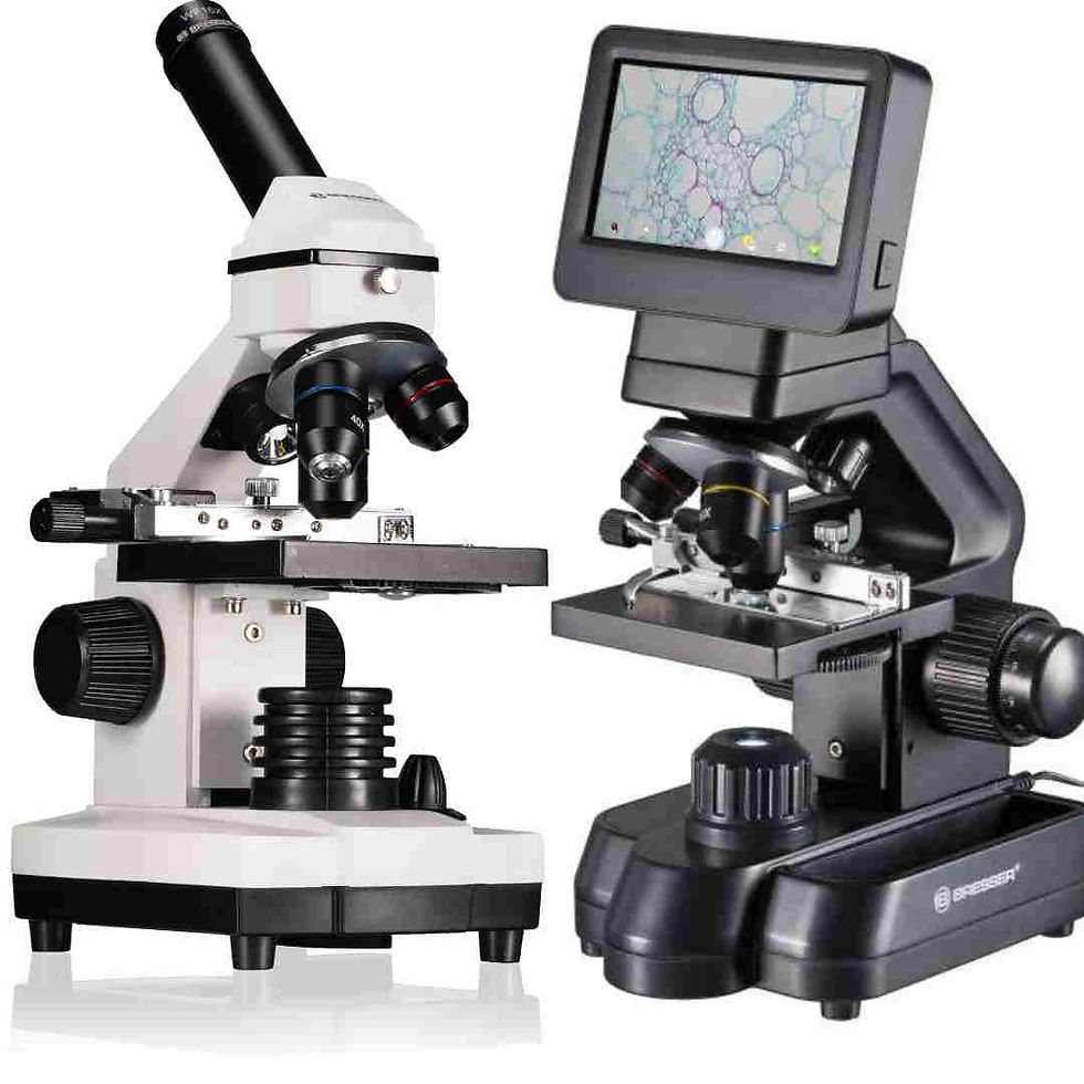 microscope