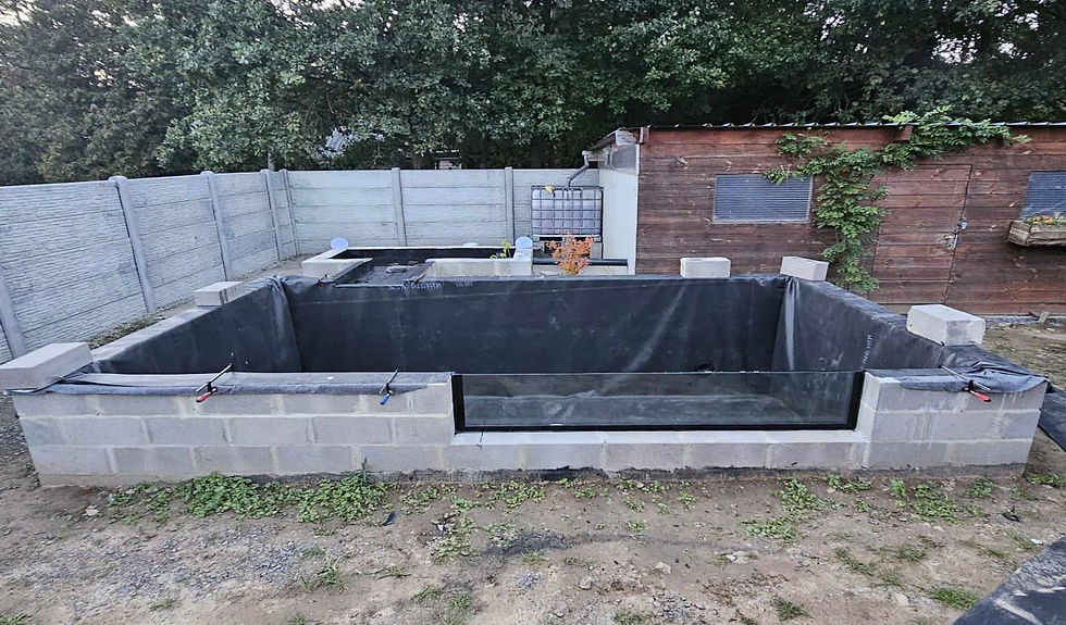 bassin vitré avant le remplissage