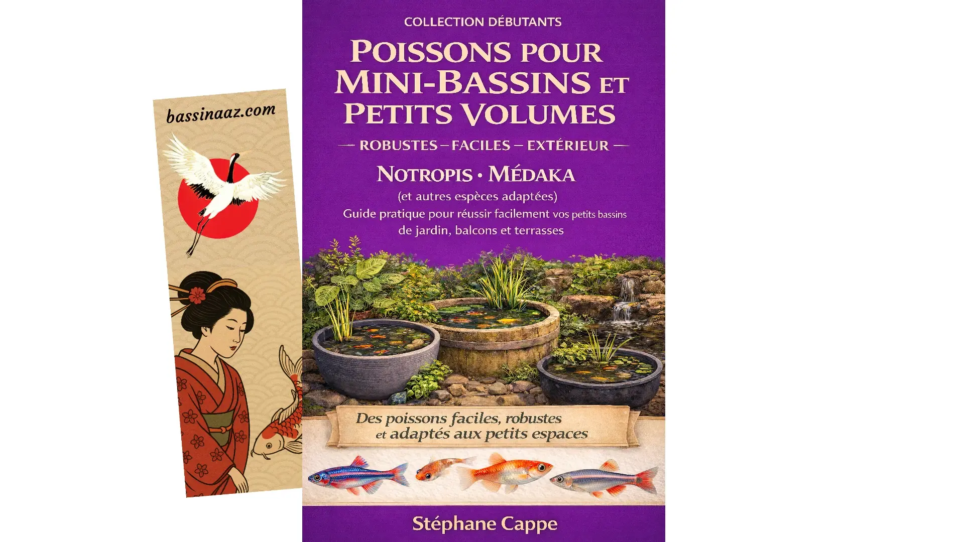 Poissons pour mini-bassins, vasques, poubellariums et petits volumes