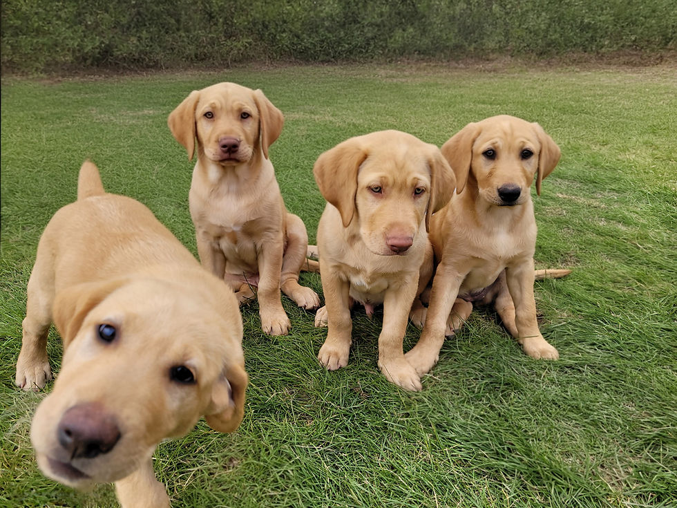 20230615_112318(1)(1) (1).jpg