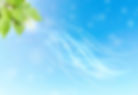 新緑と空