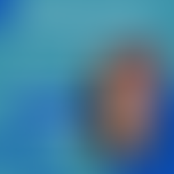 Gostujuće predavanje - dr. Revital Madar