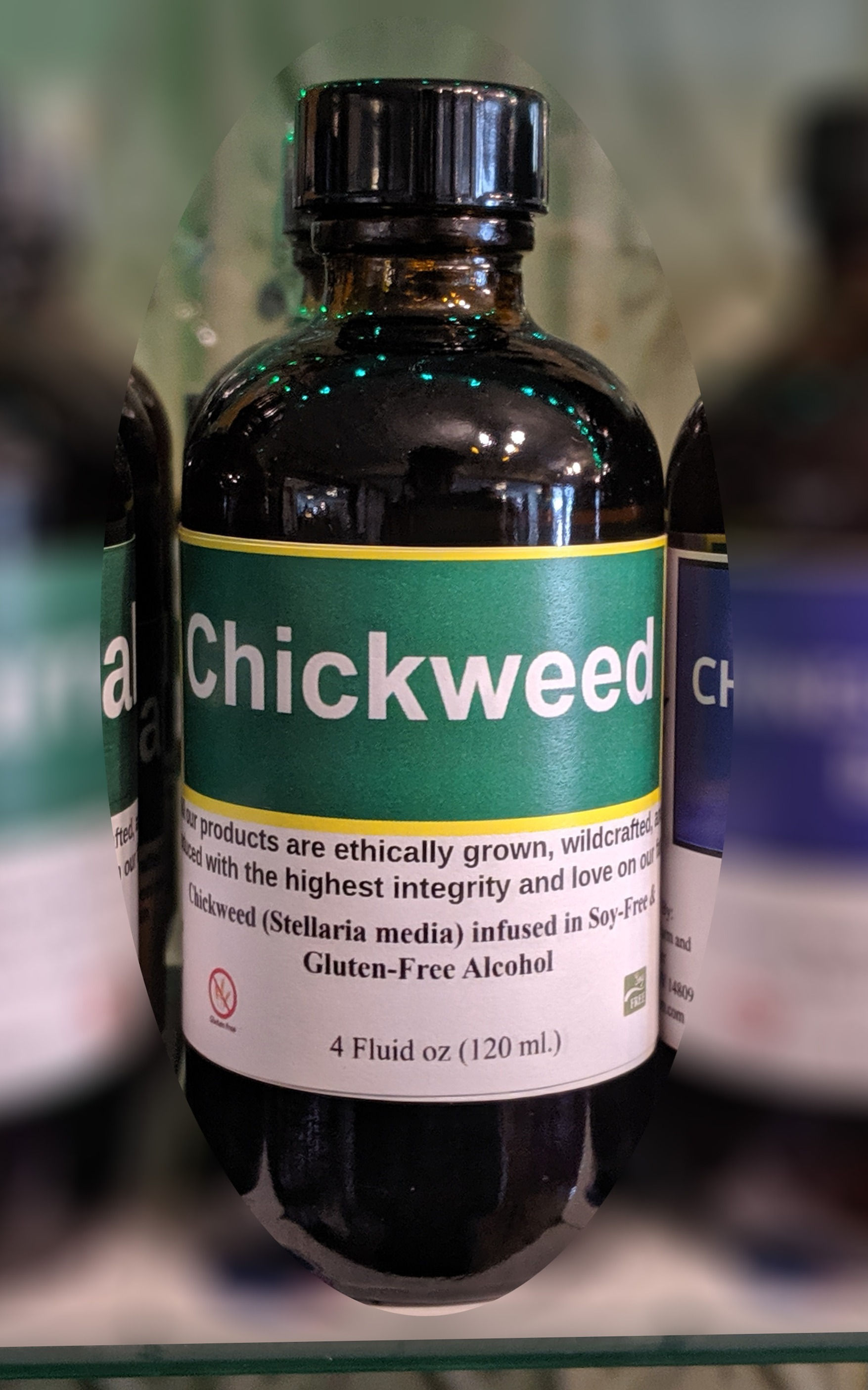 Chickweed Tincture