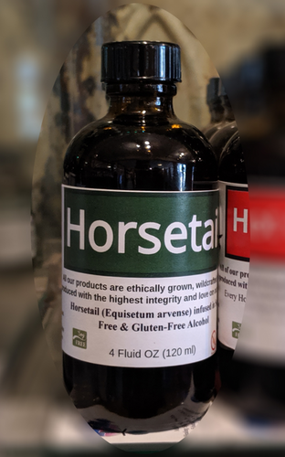 Horsetail Tincture HealingSpirits horsetail-tincture-healingspirits