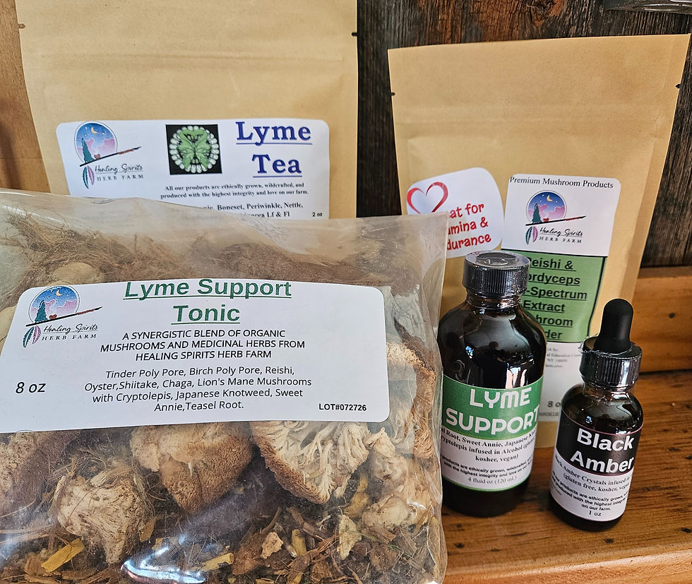 Lyme Care Package