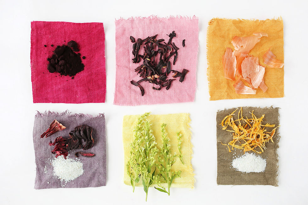 Introduction to Natural Dyes