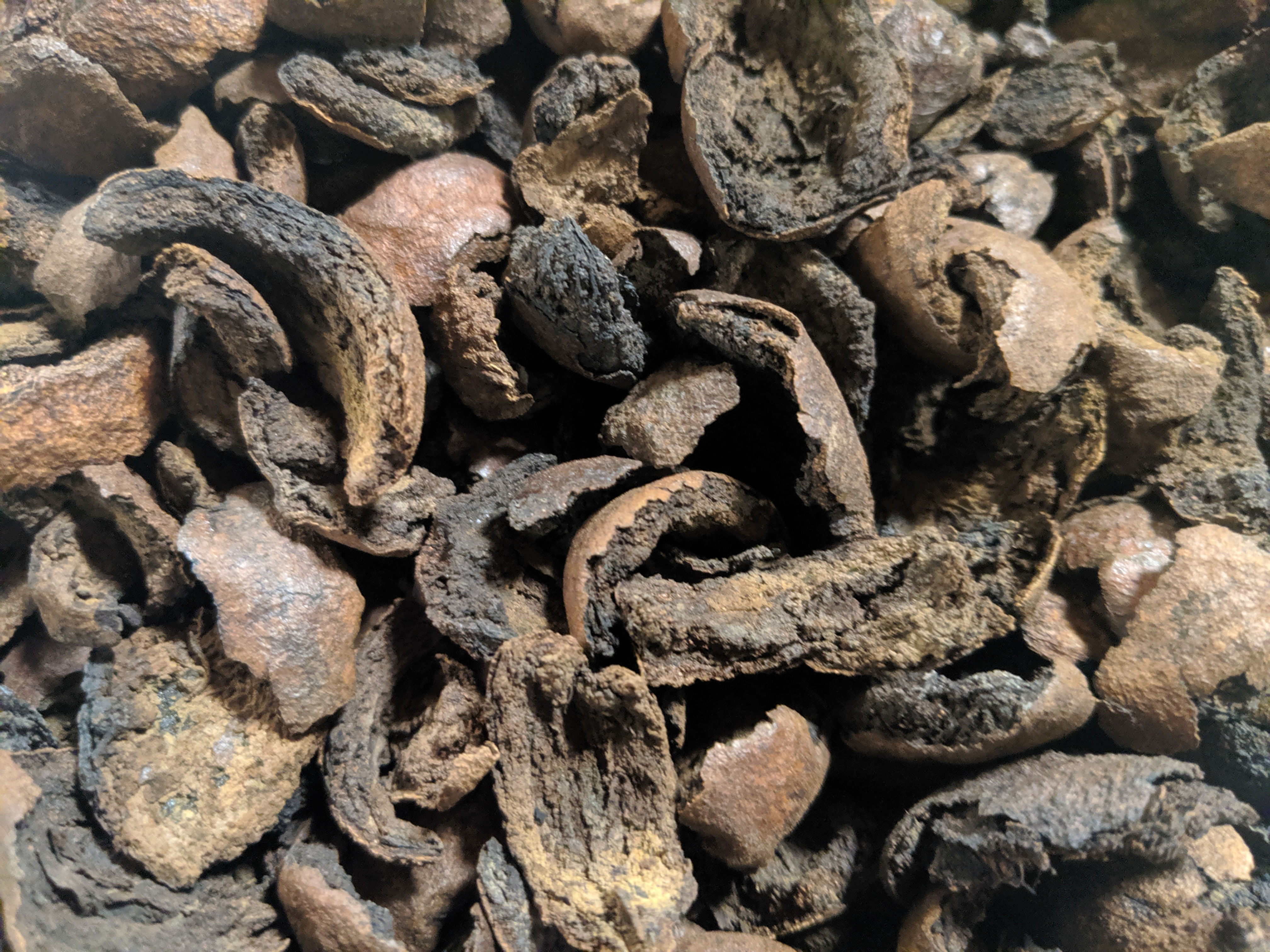 Black Walnut Hulls (Dried)