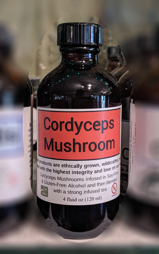 Cordyceps Mushroom Tincture HealingSpirits cordyceps-mushroom-tincture-healingspirits
