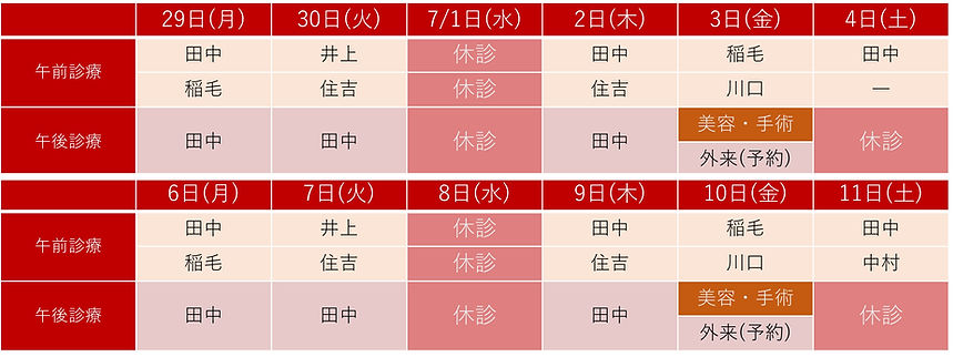 診療体制.jpg