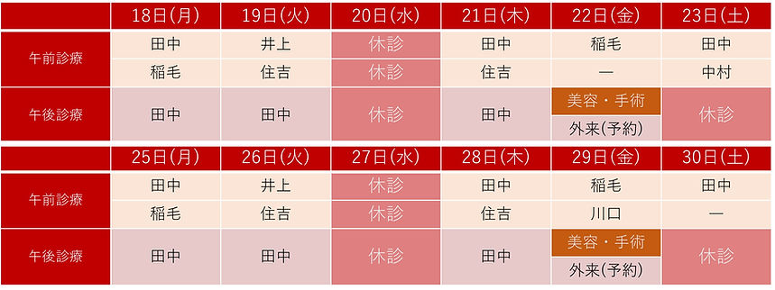 診療体制.jpg