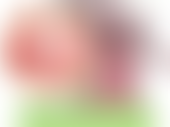 Wie Ihnen eine Mikrobiomanalyse zu einem gesünderen Leben verhelfen kann?
