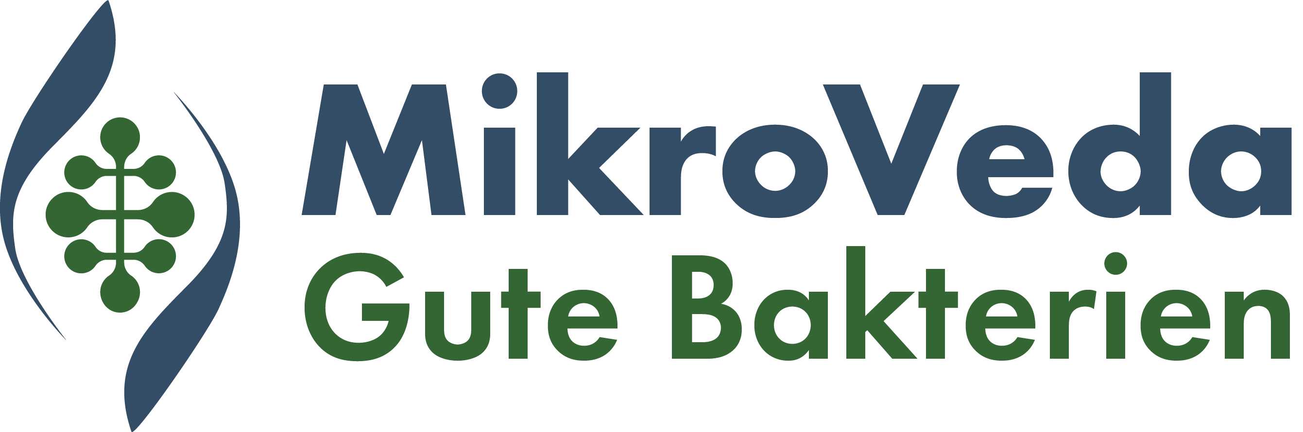 Mikroveda Firmenlogo