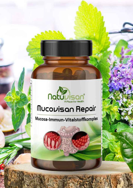 Mucovisan Repair