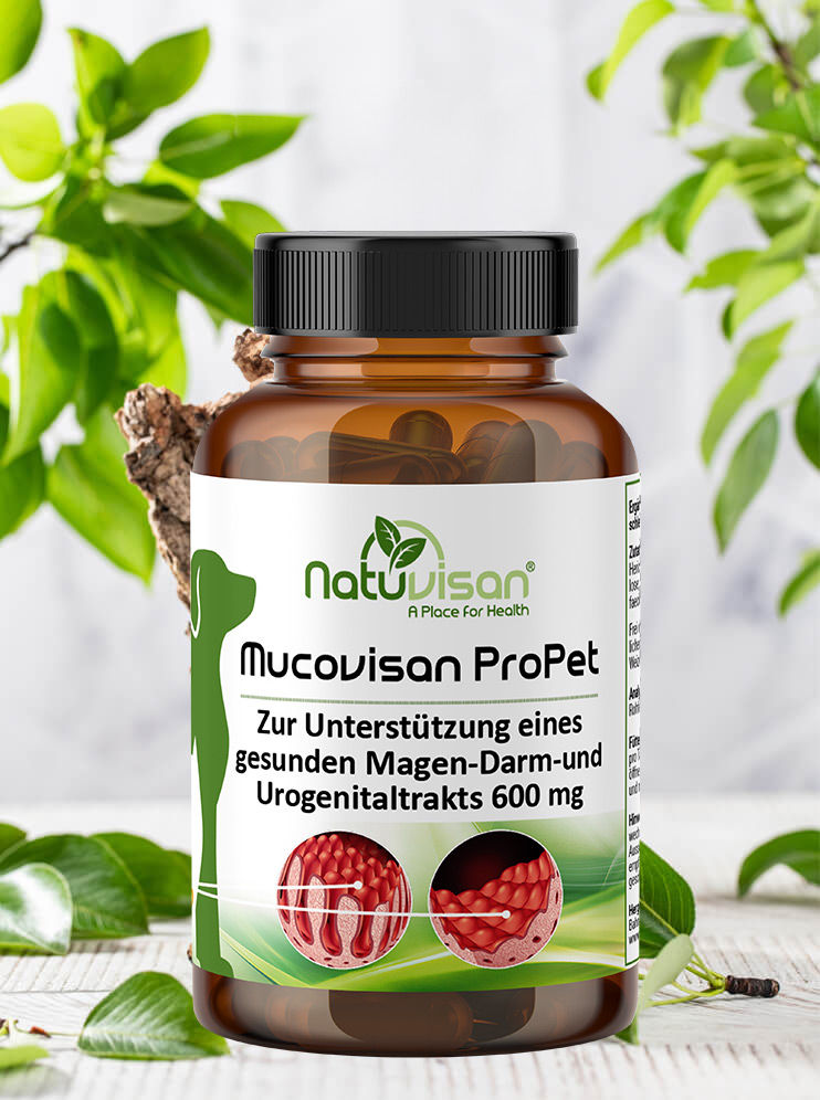 Mucovisan-Pro-Pet.jpg