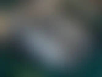 Most people think vintage cars are complicated, expensive, and constantly broken. They are not all...