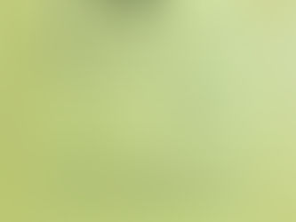 ECC全国児童・中学生英語検定試験二次試験ネイティブ面接