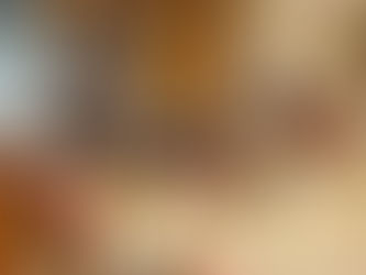 Succès de la braderie de Lecourbe XV