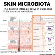 Skin microbiota: the dynamic interplay between cutaneous lipids and skin microbiota