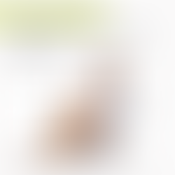 Consultoria dermatologia veterinaria