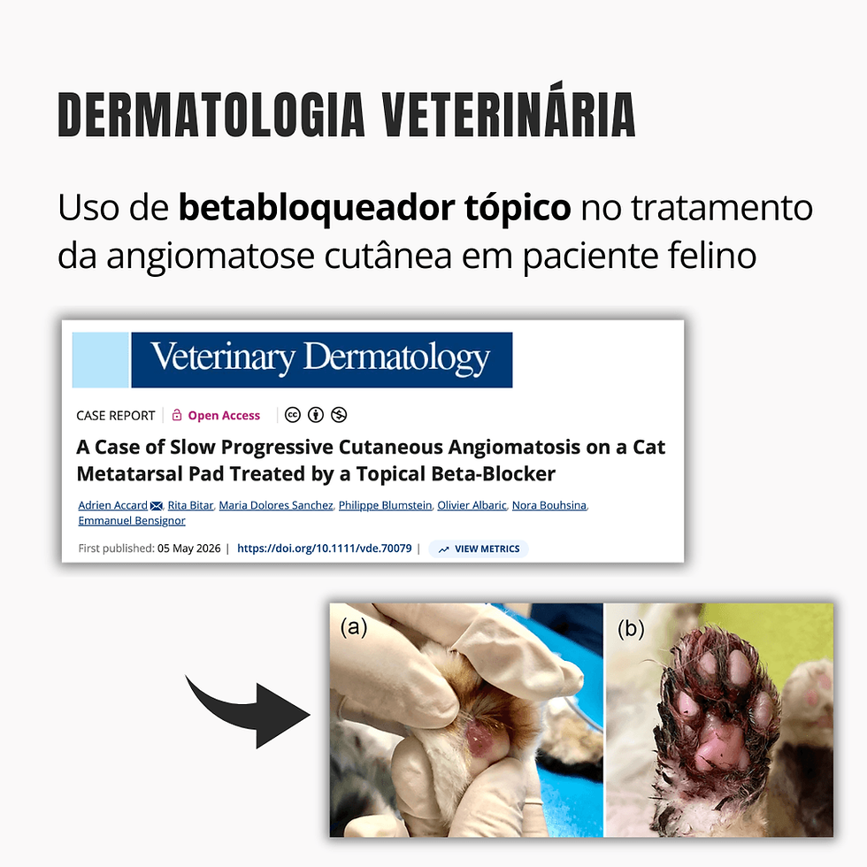 Novo tratamento na dermatologia veterinária: Uso de betabloqueador tópico no tratamento da angiomatose cutânea em paciente felino