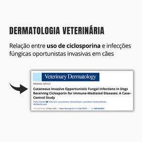 Relação do uso de ciclosporina e infecções fúngicas oportunistas invasivas em cães