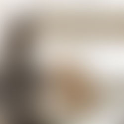 Os jovens ainda sonham em serem veterinários?