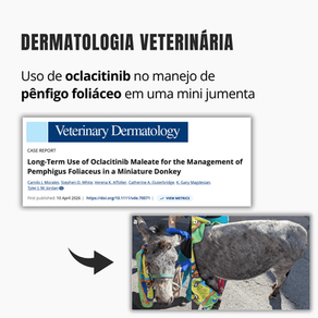 Uso de oclacitinib no manejo de pênfigo foliáceo em uma mini jumenta