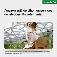 Amazon está de olho nos serviços de teleconsulta veterinária