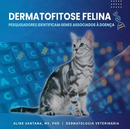 Dermatofitose felina: pesquisadores identificam genes associados à doença