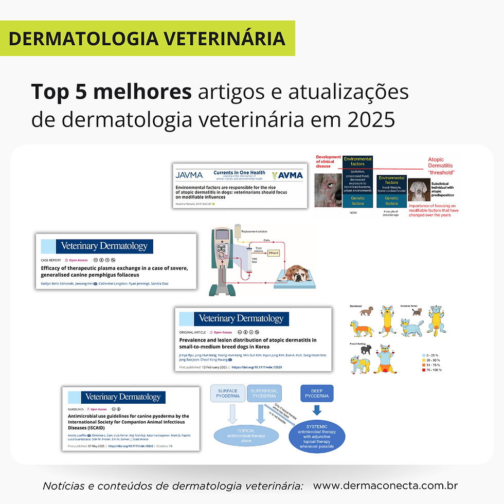 TOP 5 melhores artigos de dermatologia veterinária de 2025
