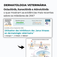Oclacitinib, Ilunocitinib e Atinvicitinib: qual é o melhor?