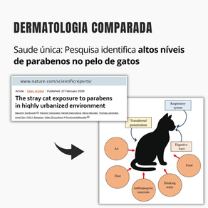 Pesquisa identifica altos níveis de parabenos no pelo de gatos