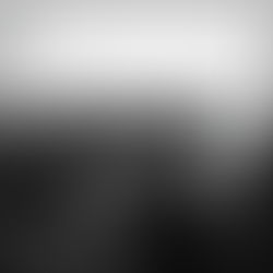 Human Colonization and Infection by Staphylococcus pseudintermedius: An Emerging Zoonotic Pathogen