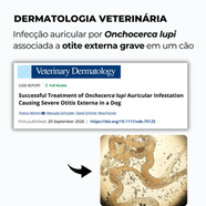 Infecção auricular por Onchocerca lupi associada a otite externa grave em um cão