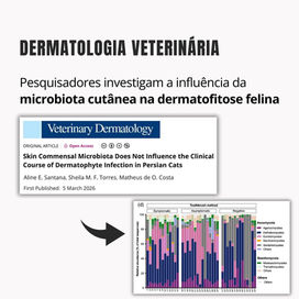 Pesquisadores investigam a influência da microbiota cutânea na dermatofitose felina