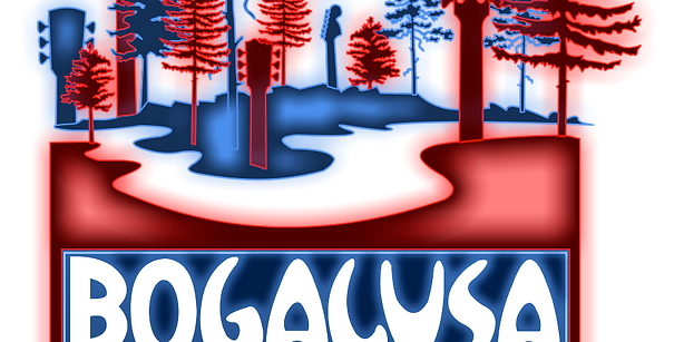 2020 Website Logo.png