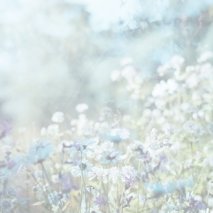 Floral double exposure shot on 120 film_edited.jpg