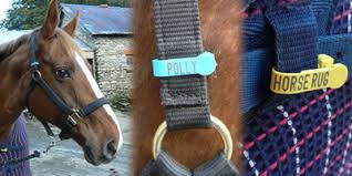 horse tack.jpeg