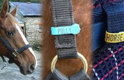 horse tack.jpeg