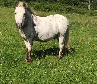 Screen Shot 2020-06-27 at 17.04.52.png