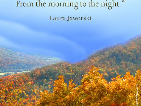 Autumn Changes by Laura Jaworski (@bugburrypond) 🍂
