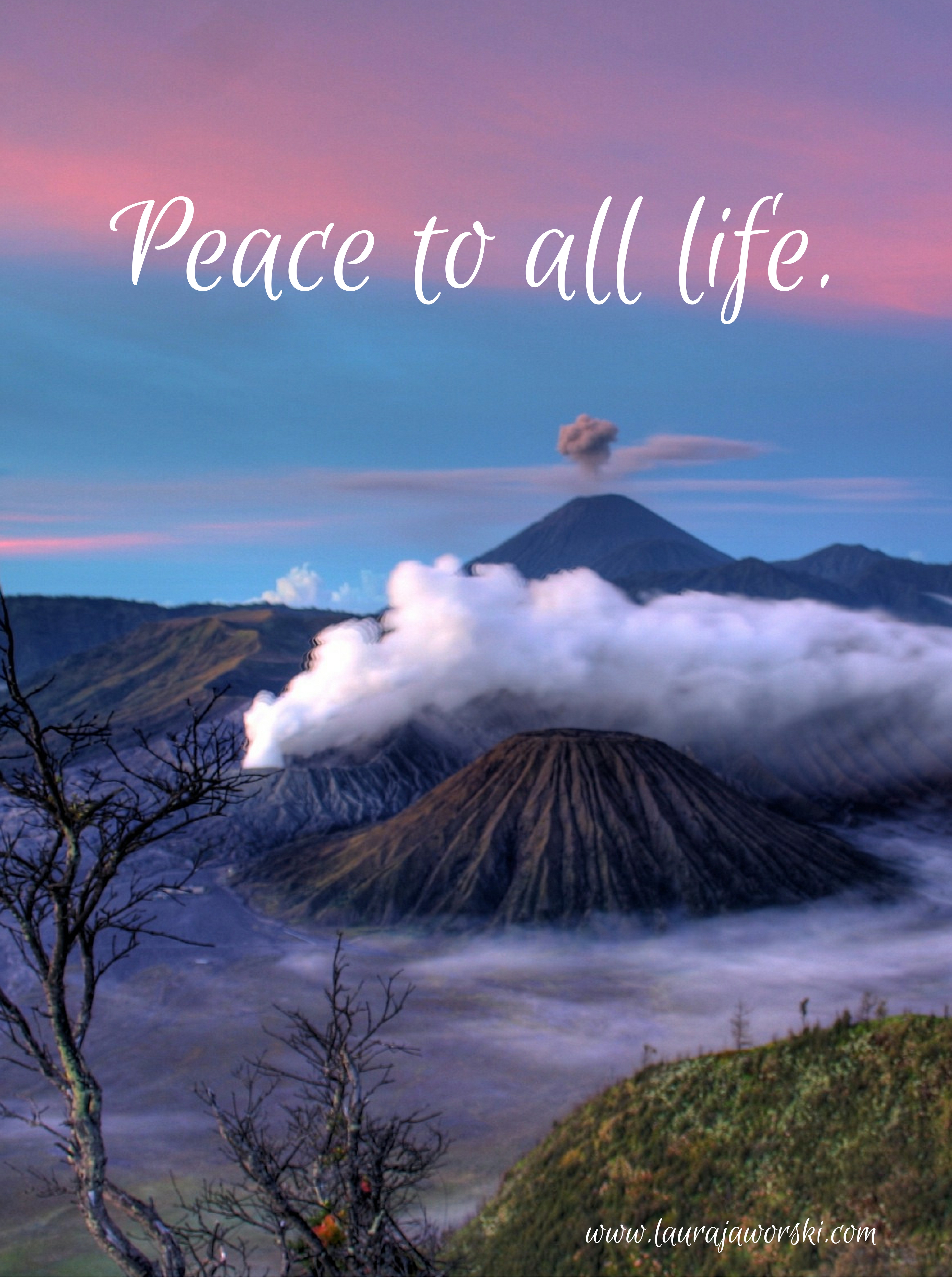 Quotes | Laura Jaworski