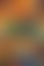 A Great & True Adventure