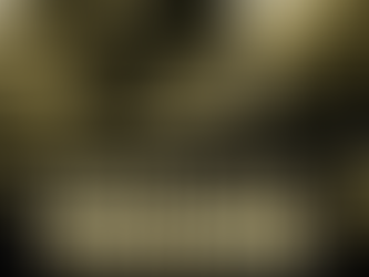 BOOK CHAPTER: The Role of Strategic Information Operations in Countering Terrorism