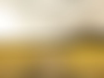 ΠΟΛΙΤΗΣ:Υπάρχει μέλλον για την Ελλάδα αρκεί να σταματήσει τον εναγκαλισμό με τον Σοσιαλισμό