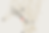 Untitled design (31).png