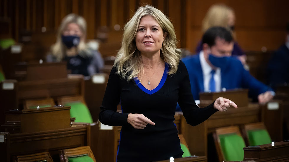 Michelle Remple Garner moves to replace C-63 with C-412 (the Promotion of Safety in the Digital Age Act)