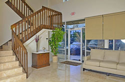 Showroom Nian Offices